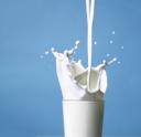 milk lovers college scholarship for milk lovers